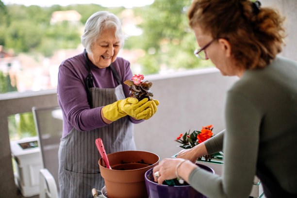 女孩们在家里盆栽花图片下载
