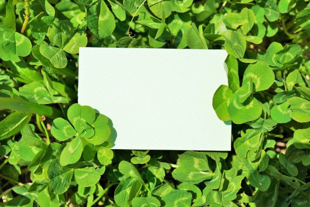 带有5个和6个叶子的评论空间模型图片下载