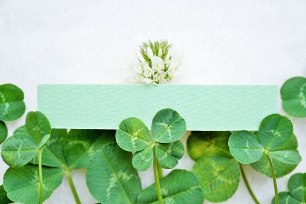 一个标题框架的模型，装饰着一个小的幸福四叶三叶草和鲜花图片下载