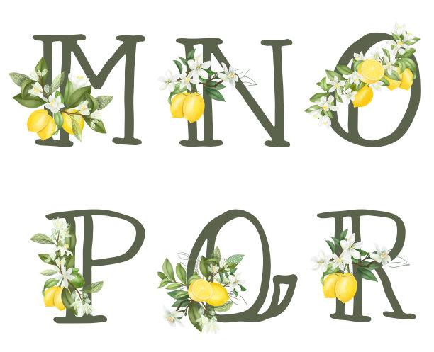 一套花的字母柠檬花，叶子和柠檬，孤立的插图在白色背景，为婚礼的字母组合，贺卡，标志图片下载