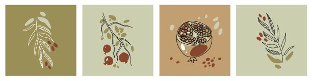 一套方形海报的现代艺术在泥土，柔和的颜色。树叶、细枝、切好的石榴和橄榄枝。线性艺术和点。矢量背景打印，封面和墙壁艺术。图片下载