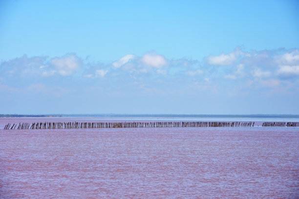 克里米亚的粉红盐湖图片下载