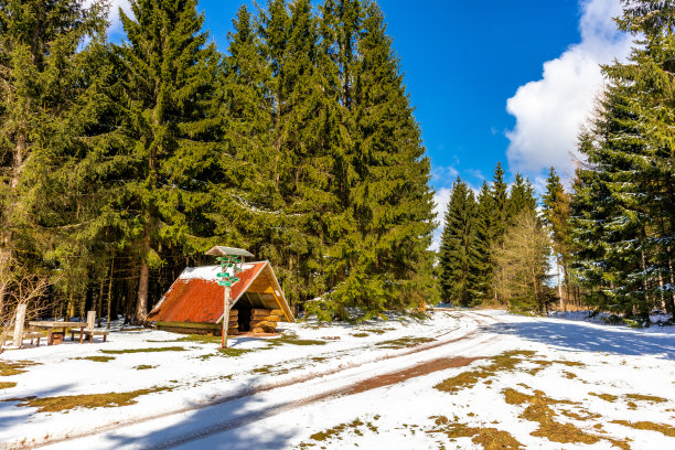 在施泰因巴赫-哈伦贝格附近的图林根森林徒步至山间救援小屋图片下载