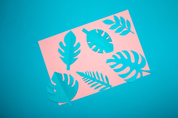 粉红色的纸与蓝色的叶子和蓝色的背景围绕纸，创造性的艺术夏季设计图片下载