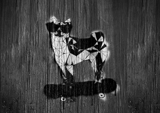 一只狗在滑板上的艺术插图图片下载