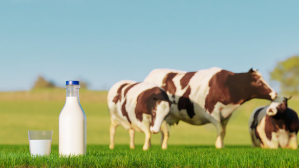 用瓶子和玻璃杯装的新鲜牛奶图片下载