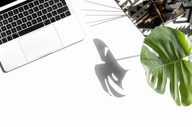 办公书桌笔记本，蓬莱蕉叶影平铺社交媒体图片下载