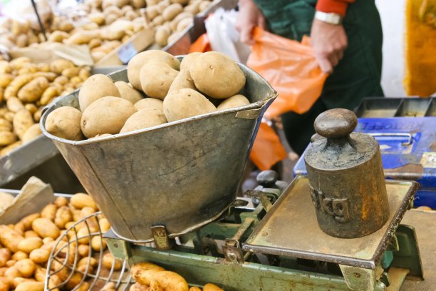 秤上有5公斤新鲜土豆图片下载