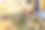 秤上有5公斤新鲜土豆图片下载