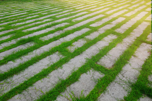 绿色花园公园混凝土水泥块路径的安排，透视照片。图片下载