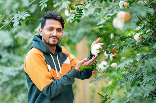 年轻的业余摄影师在公园用智能手机拍照图片下载