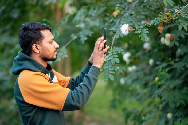 年轻的业余摄影师在公园用智能手机拍照图片下载