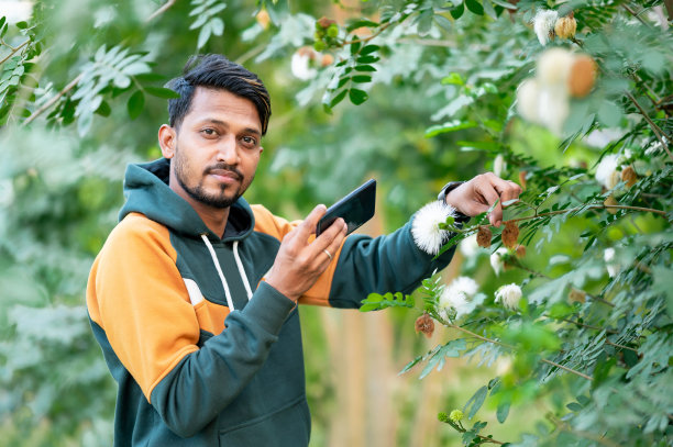 年轻的业余摄影师在公园用智能手机拍照图片下载