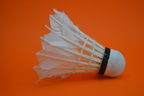 羽毛球图片下载