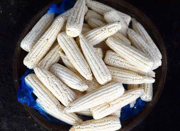 黑色背景上的大量新鲜玉米图片下载