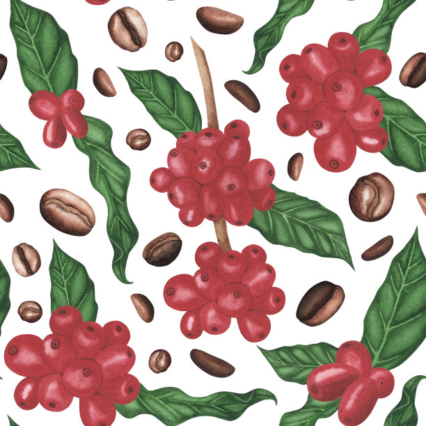 新鲜的红色阿拉比卡咖啡在白色背景上无缝图案。水彩手绘插图。艺术装饰图片下载