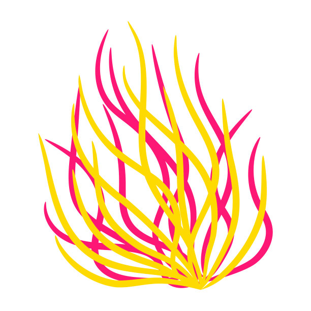 海洋植物藻类插图。海洋生物水族馆和海洋植物群。图片下载