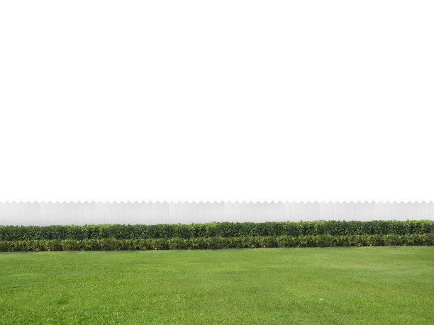 空后院孤立在白色背景与复制空间图片下载