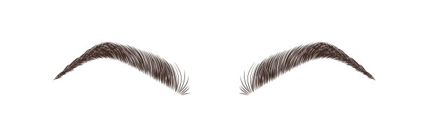 现实的眉毛在白色背景。永久化妆和微刀片。眉毛工作室的标志。线性矢量插图在时尚的极简主义风格图片下载