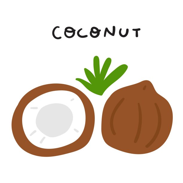 椰子插图。图片下载