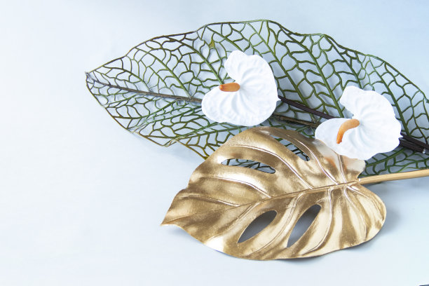 红掌花束和金色怪物的设计图片下载