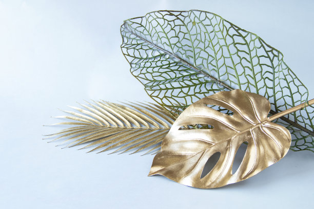 金色的菱形和棕榈叶的设计图片下载