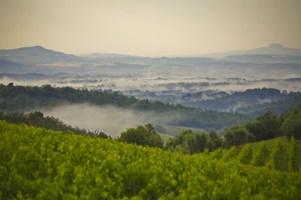 锡耶纳基安蒂的全景。意大利锡耶纳区域,图片下载