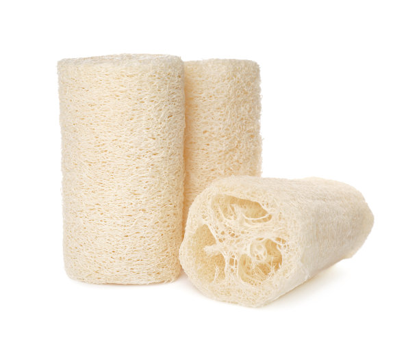 白色背景上的天然丝瓜沐浴海绵图片下载