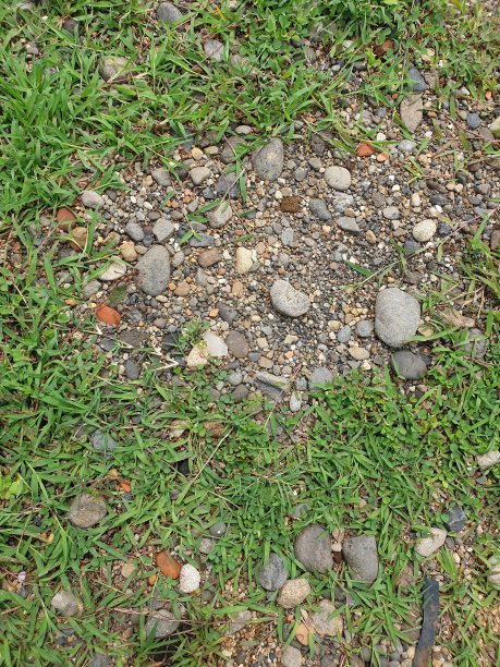 小石头和草的纹理为背景，在白天。高质量的照片图片下载