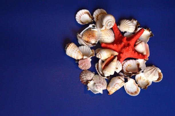 海洋组成图片下载