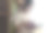 一位亚洲妇女站在图书馆的书架走廊上看书。图片下载