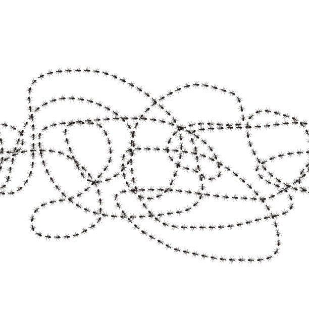 许多蚂蚁矢量无缝图案图片下载