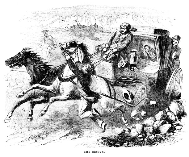 男子救下失控的马车图片下载