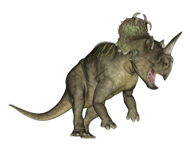 中心龙恐龙- 3D渲染图片下载