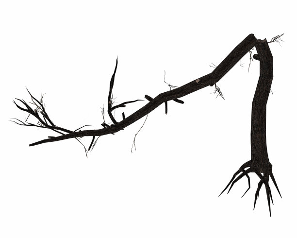 死亡破碎的树干- 3D渲染图片下载