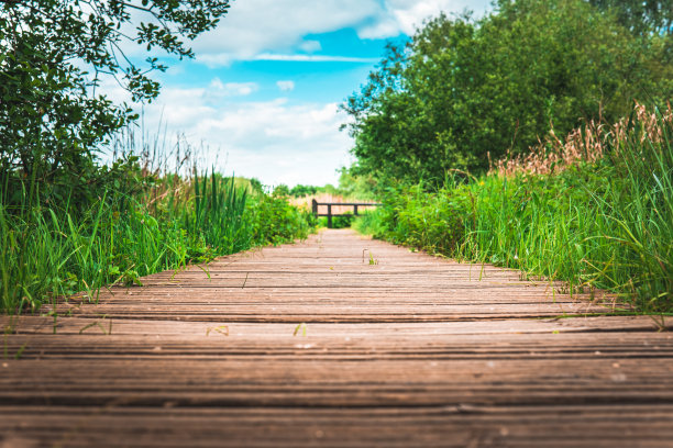 公园里的木路图片下载