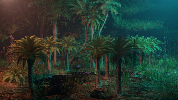 25. 野生椰子林内的夜景-自然景观图片下载