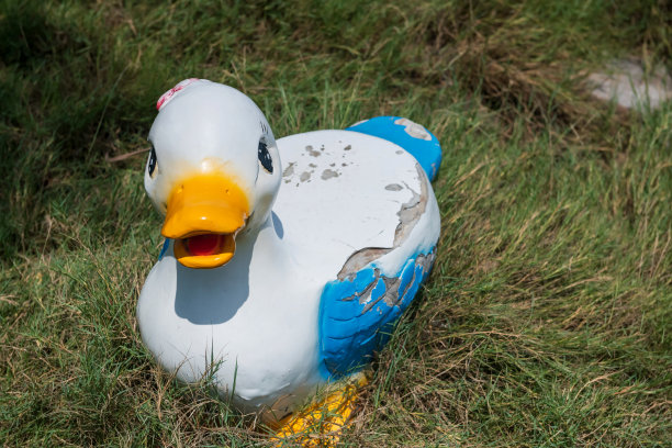 可爱的老鸭女孩装饰在儿童游乐场的草地上图片下载