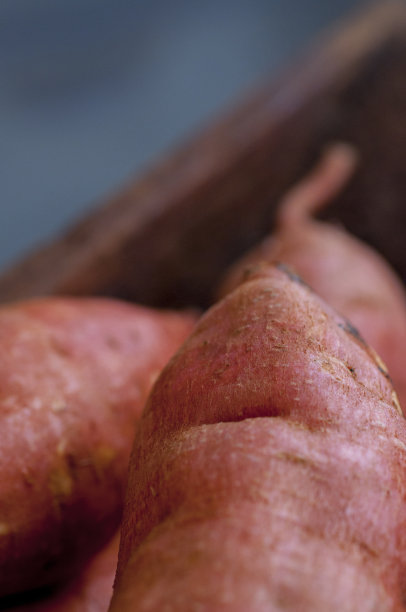 人类，重要的主食，红薯，图片下载