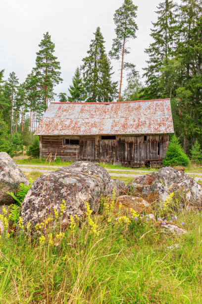 树林里一个废弃的旧谷仓旁边的草地上有野花图片下载