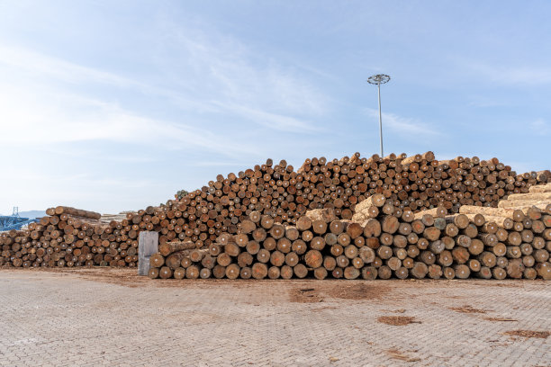 港口的空地上堆满了木材图片下载