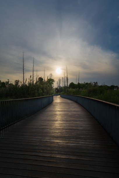 草在黄昏图片下载