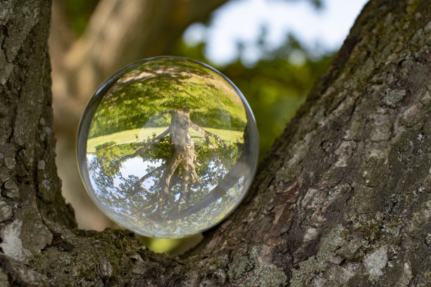 斯堪的那维亚的自然，春天里有树木，大海和草，外面有水晶球。关注自然和气候，将自然包裹在一个发光的水晶球中。球被放置在可以看到大海的树干上。图片下载