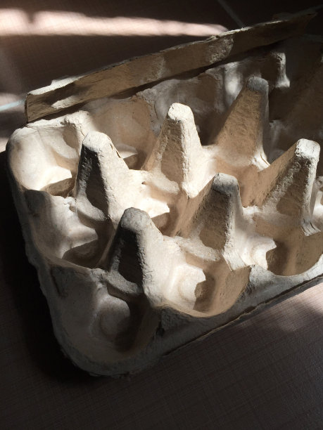 有阳光反射和阴影的空鸡蛋盒图片下载