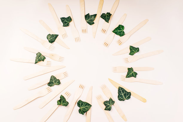环保木制餐具。塑料自由概念。一次性木制餐具。环保的概念。白色背景上的环保一次性厨房用具横幅。木叉,勺子,零浪费。本空间图片下载