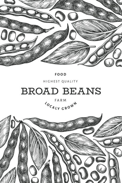 手绘蚕豆有机设计模板图片下载