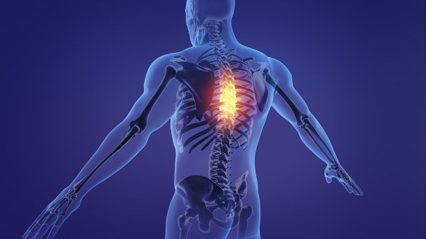 人类脊柱疼痛的动画图片下载