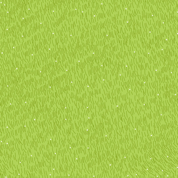 草坪草无缝图案在夏天图片下载