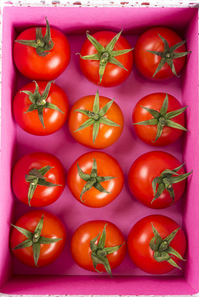 红辣椒和番茄物品图片下载