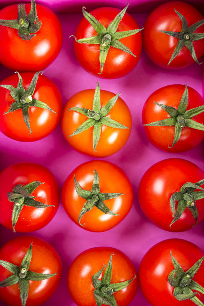 红辣椒和番茄物品图片下载